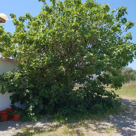 Ferme De Chiuni Apartmán *