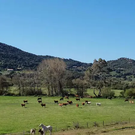 Ferme De Chiuni דירה